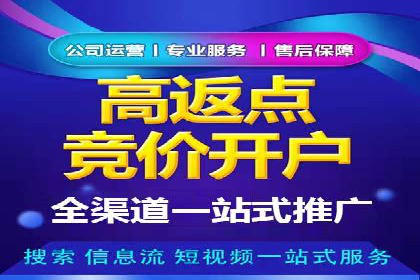 谷歌竞价广告优化技巧及某行业成功案例